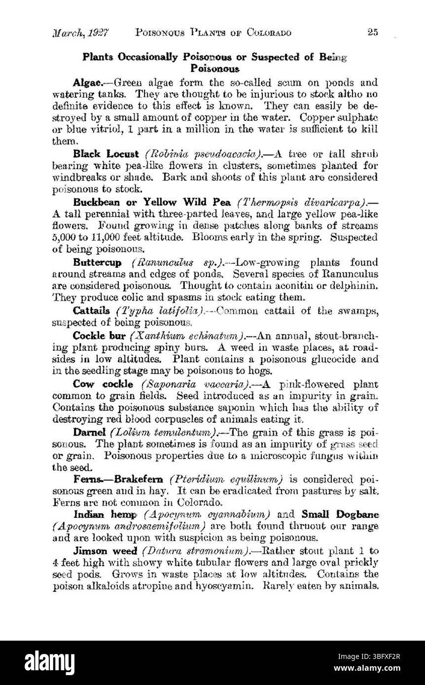 Auf dieser Seite werden die historischen und wissenschaftlichen Hintergründe der Erforschung giftiger Pflanzen in Colorado beschrieben, wobei der Schwerpunkt auf frühzeitiger Identifizierung liegt. Stockfoto