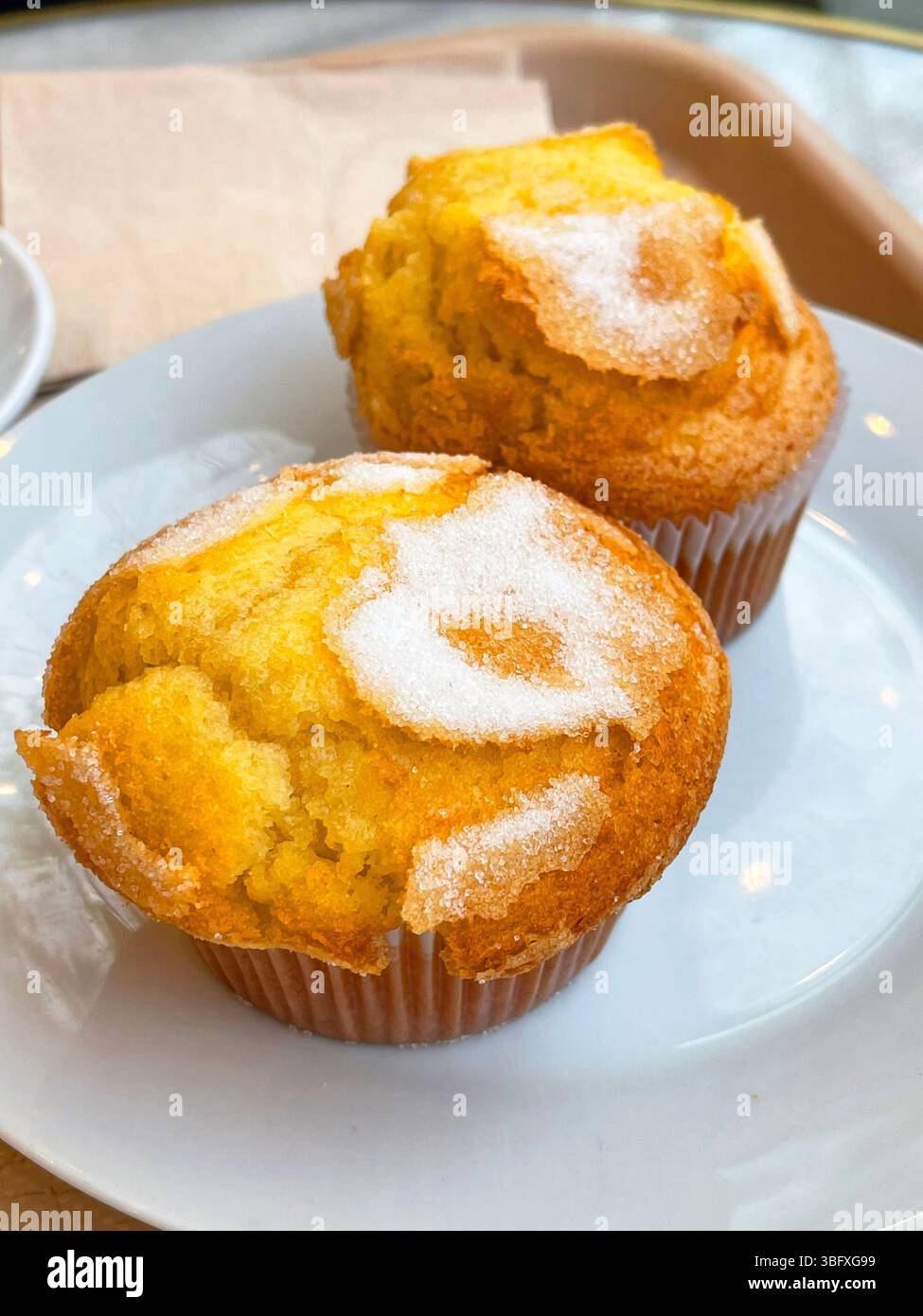 Zwei Muffins. Stockfoto