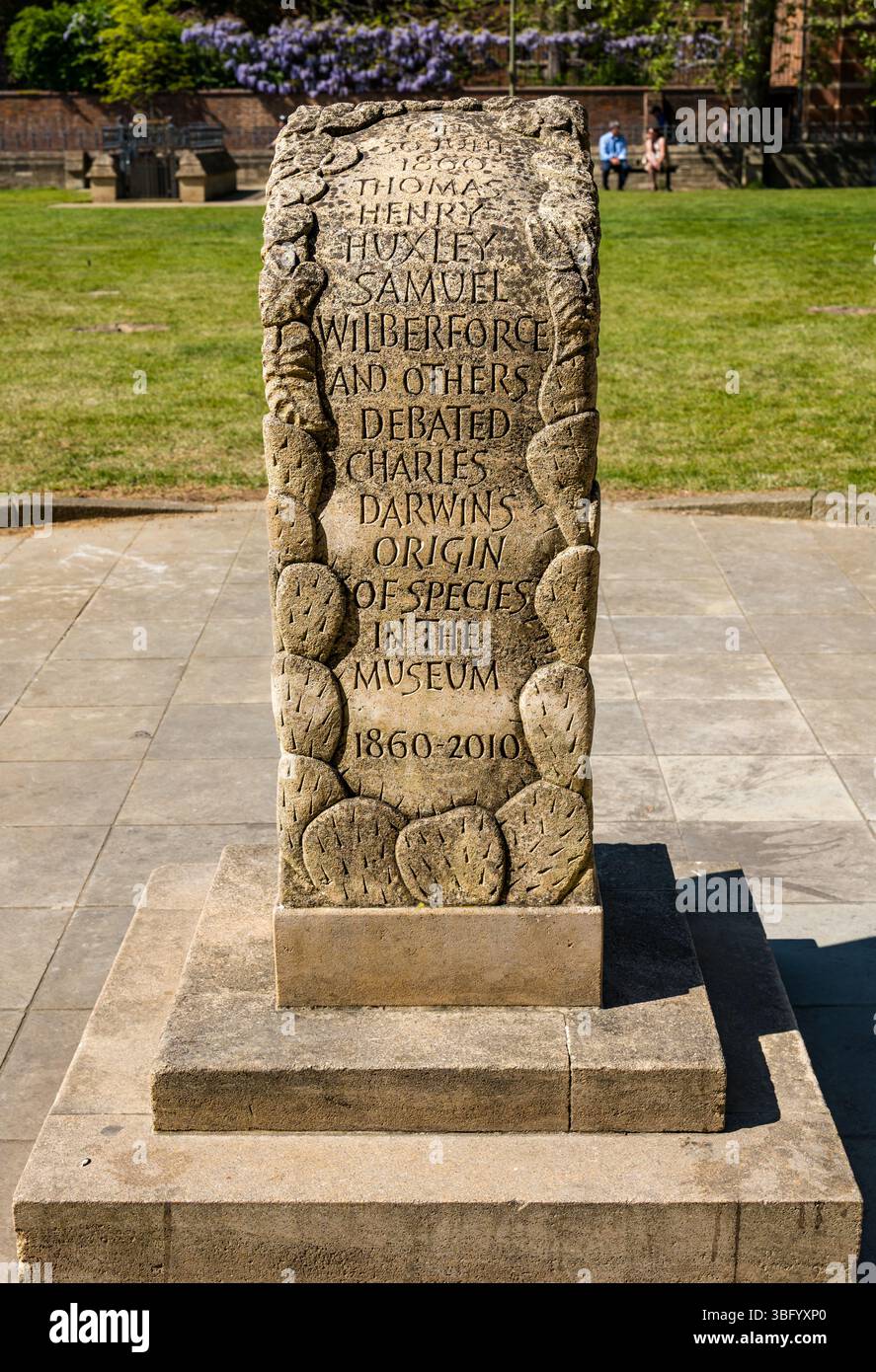 Monument zur Erinnerung an die Debatte über Charles Darwin Herkunft der Arten von Huxley & Wilberforce, Oxford University Museum of Natural History, England, Großbritannien Stockfoto