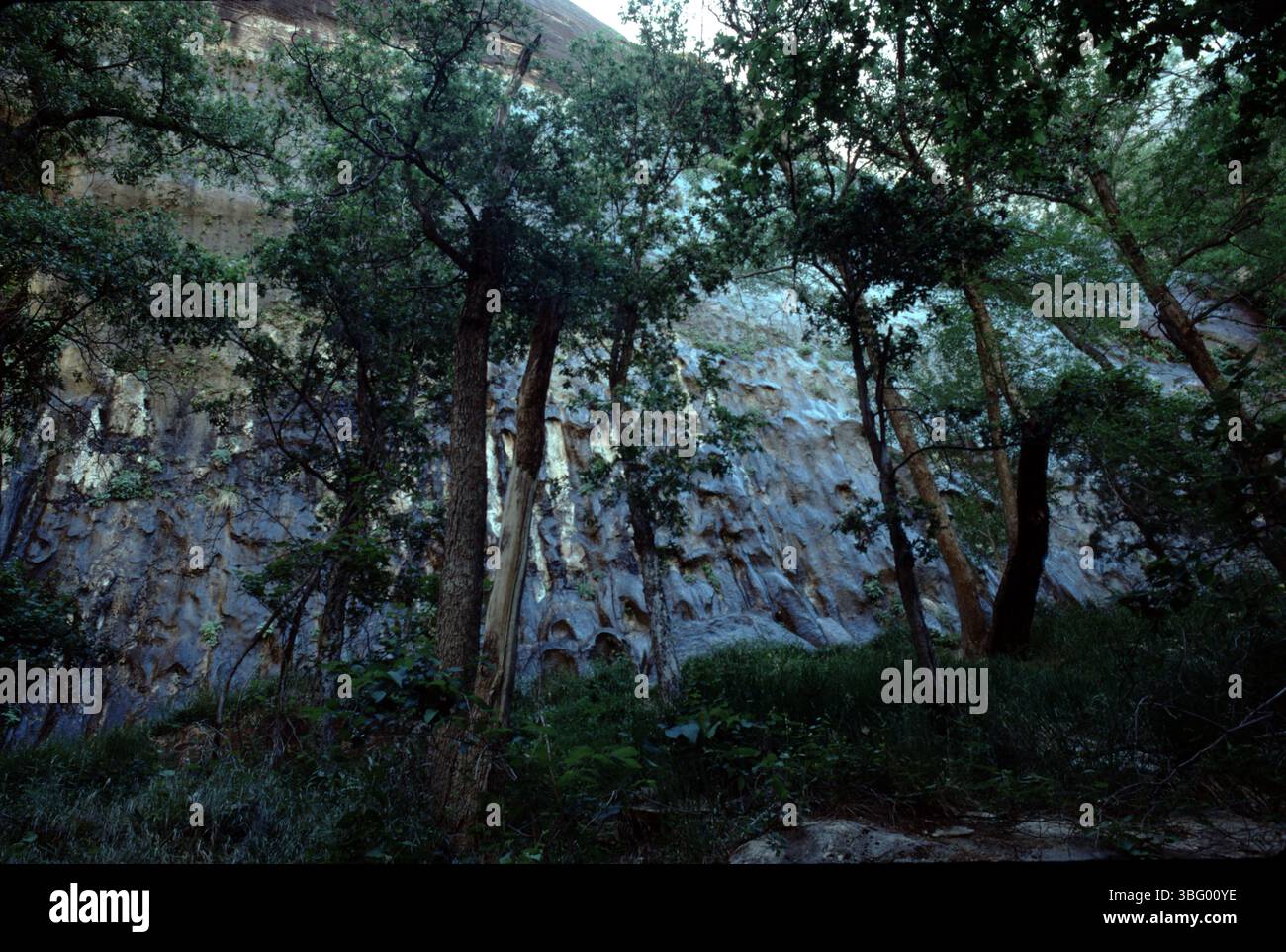Springdale, UT. USA 9/1994. Der Virgin River im Zion-Nationalpark hat einen majestätischen, 15 km langen Zion Canyon aus rötlichen und braunen Klippen geformt. Viele Wanderungen, Ausritte und Fahrradwege für alle Altersgruppen. Stockfoto