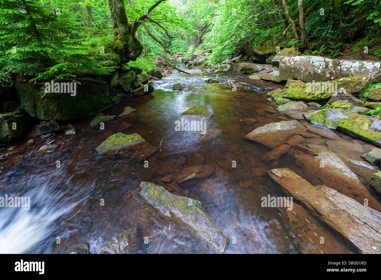 West Beck River in North Yorks Moors, North Yorkshire, England. Stockfoto