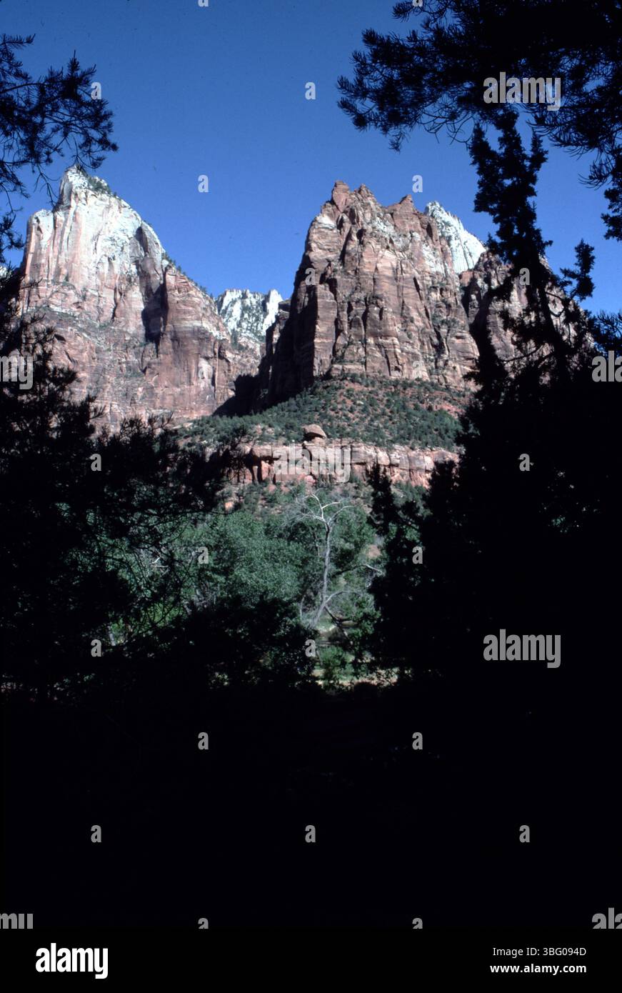 Springdale, UT. USA 9/1994. Der Virgin River im Zion-Nationalpark hat einen majestätischen, 15 km langen Zion Canyon aus rötlichen und braunen Klippen geformt. Viele Wanderungen, Ausritte und Fahrradwege für alle Altersgruppen. Stockfoto