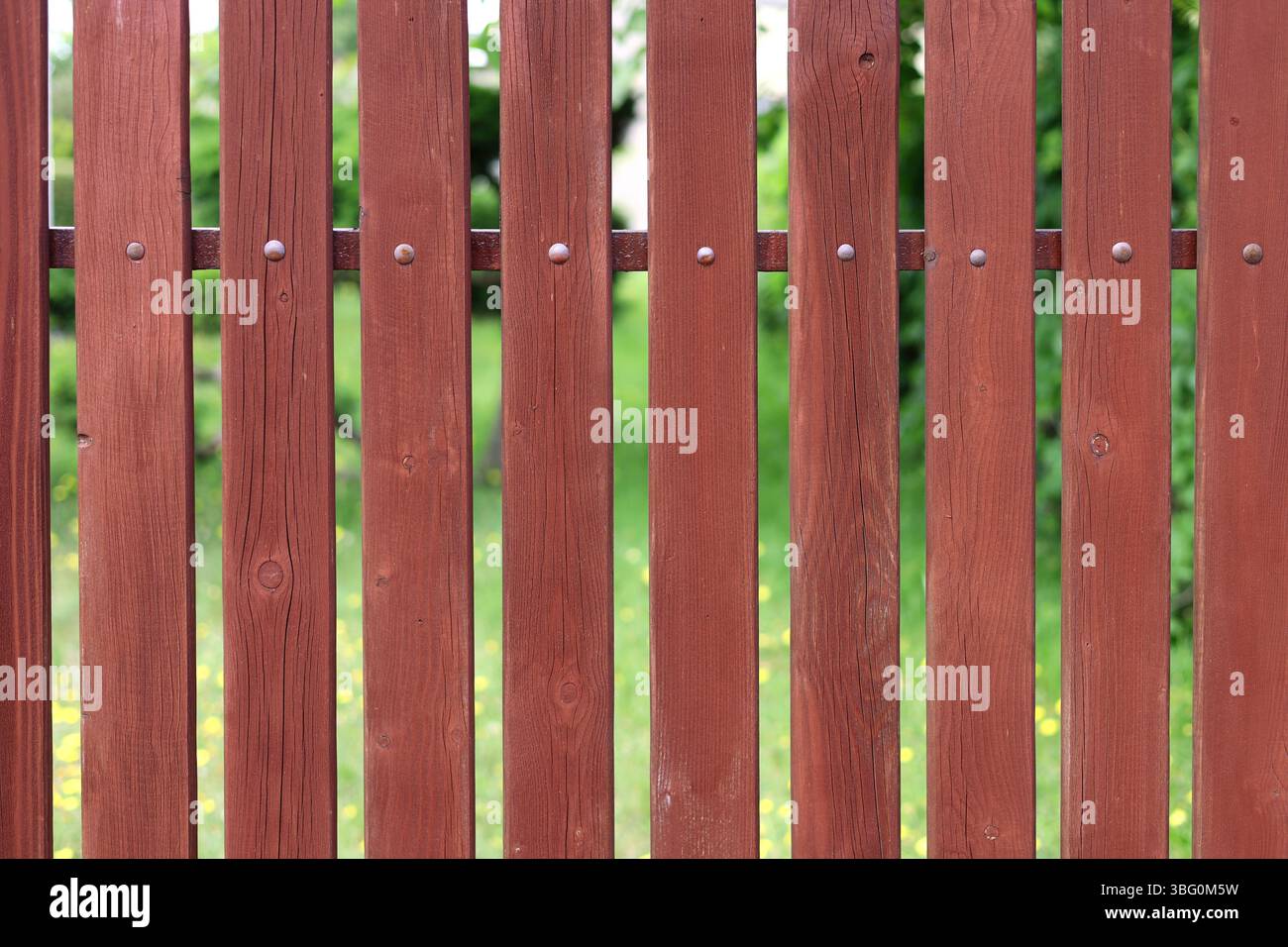 Nahaufnahme des Zauns aus Holzdielen, rot bemalt mit einem grünen Garten unscharfen Hintergrund Stockfoto