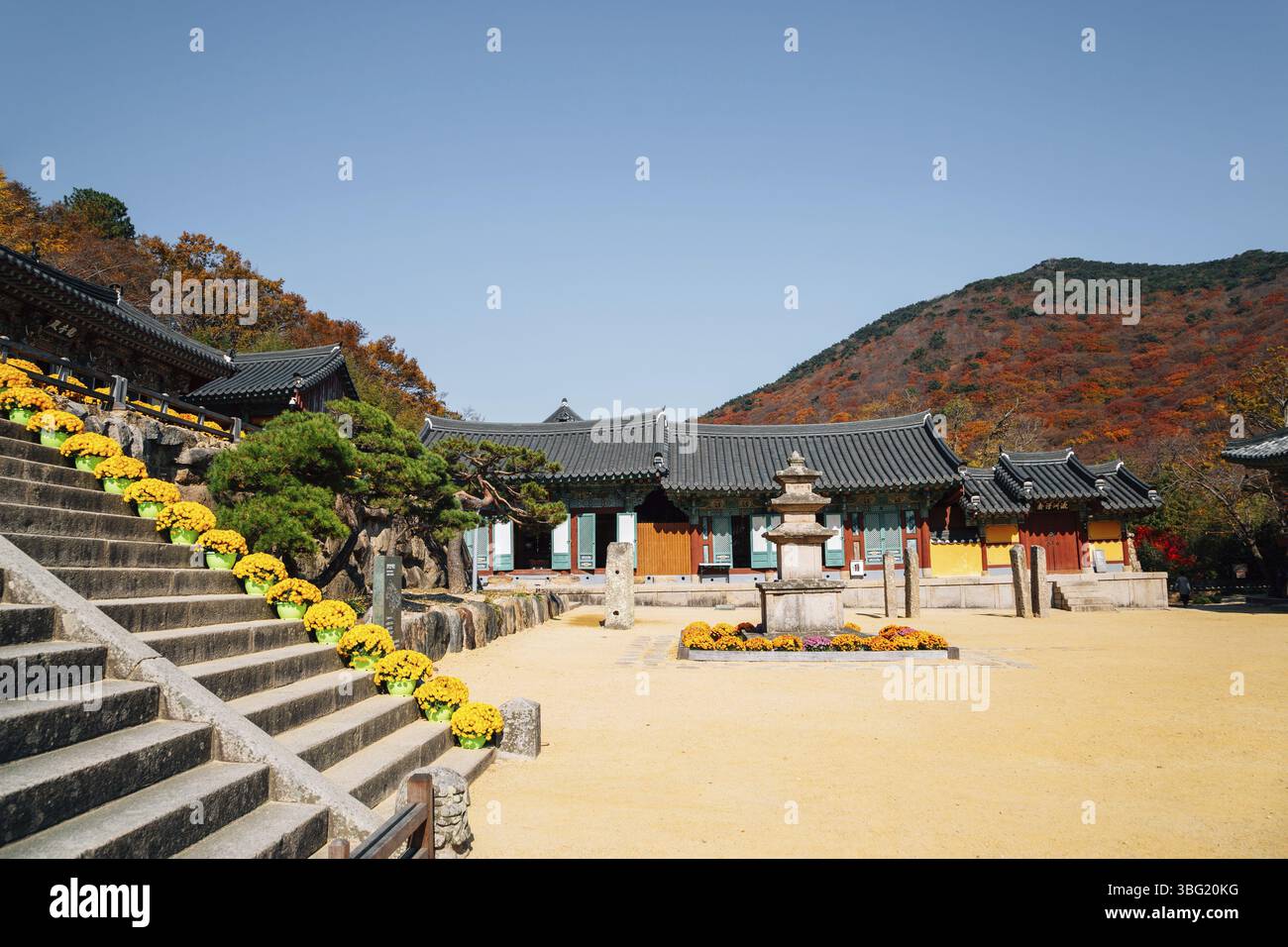 Herbst des Beomeosa Tempels in Busan, Korea Stockfoto