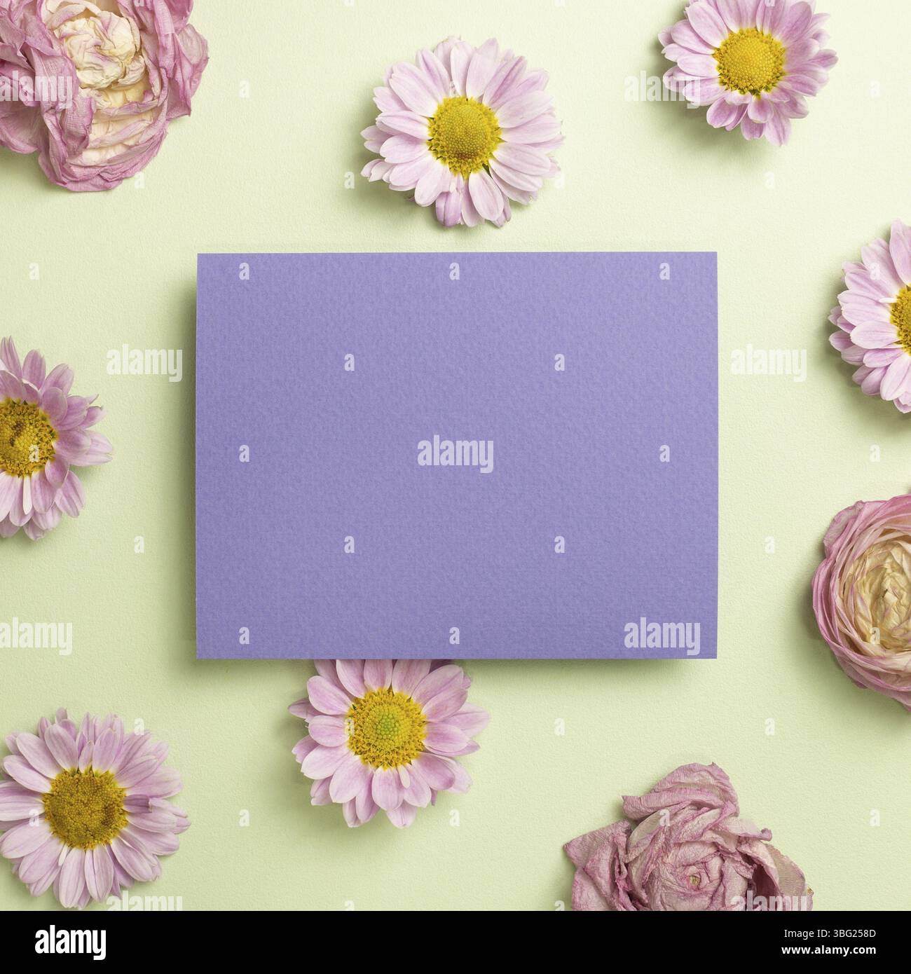 Notizblock mit rosa Blumen auf hellgrünem Hintergrund. Draufsicht, Kopierraum Stockfoto