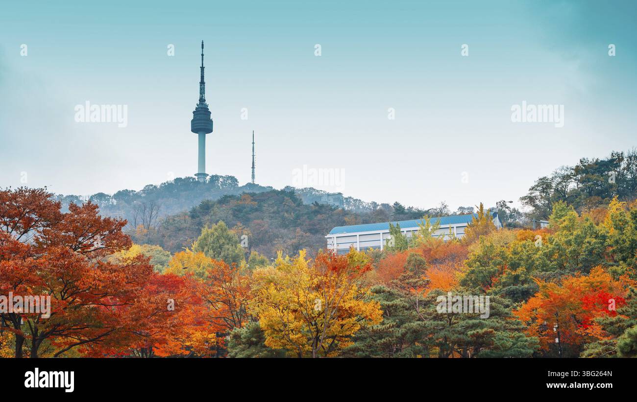 Namsan Seoul Tower mit Herbst Ahorn in Korea Stockfoto