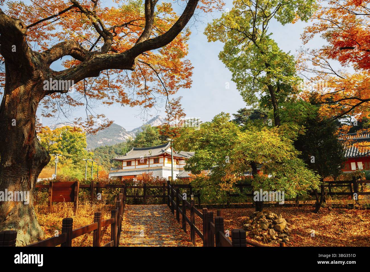 Herbst des Dorfes Eunpieong Hanok. Ahornwald und Trail Road in Seoul, Korea Stockfoto