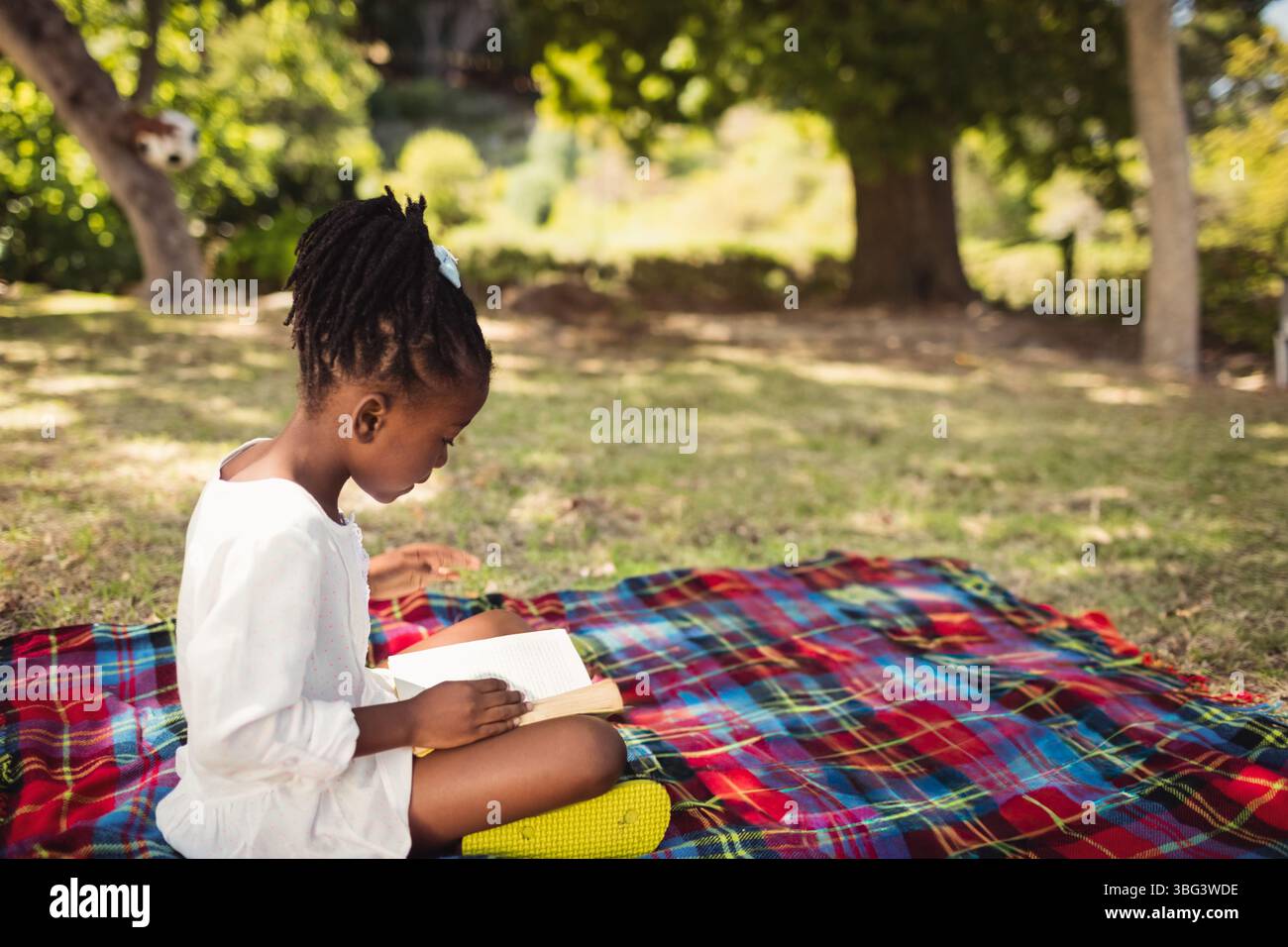 Das Kind liest ein Buch auf einer farbenfrohen karierten Decke auf schattigem Gras unter Bäumen mit flauschigem Sonnenlicht Stockfoto