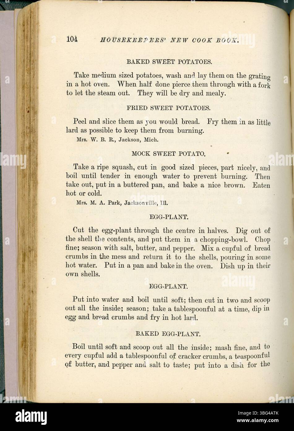 Das Housekeepers New Cook Book von 1883 enthält fast 1.000 Rezepte und praktische Haushaltsberatung für Housekeeper des späten 19. Jahrhunderts, die verschiedene Kochstile, Essensplanung und Hausverwaltung abdecken. Stockfoto