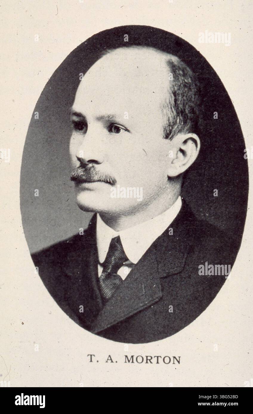 Porträt von Thomas A. Morton (31.1872-24.6.1960), einer prominenten Persönlichkeit im Columbus-Geschäft. 1903 wurde er Schatzmeister der Sun Manufacturing Company und 1905 deren Geschäftsleiter. Das Unternehmen produzierte Schaukästen, Kaffeemühlen und Geldschubladen. Er heiratete Nellie Bradley. Stockfoto