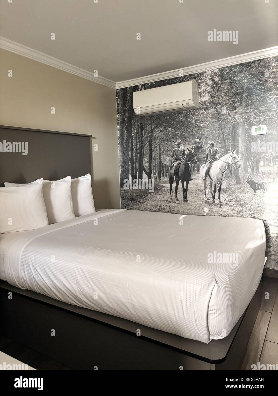 Equus Inn Hotel. Ein Kingsize-Bett mit reinweißer Bettwäsche befindet sich unter einem großen schwarz-weißen Wandgemälde von zwei Reitern auf einem Bauernhof. Stockfoto