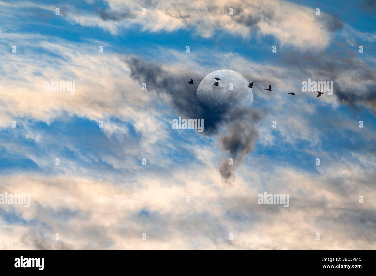 Eine Vogelschar fliegt am Mond vor Einer farbenfrohen Wolkenlandschaft Stockfoto