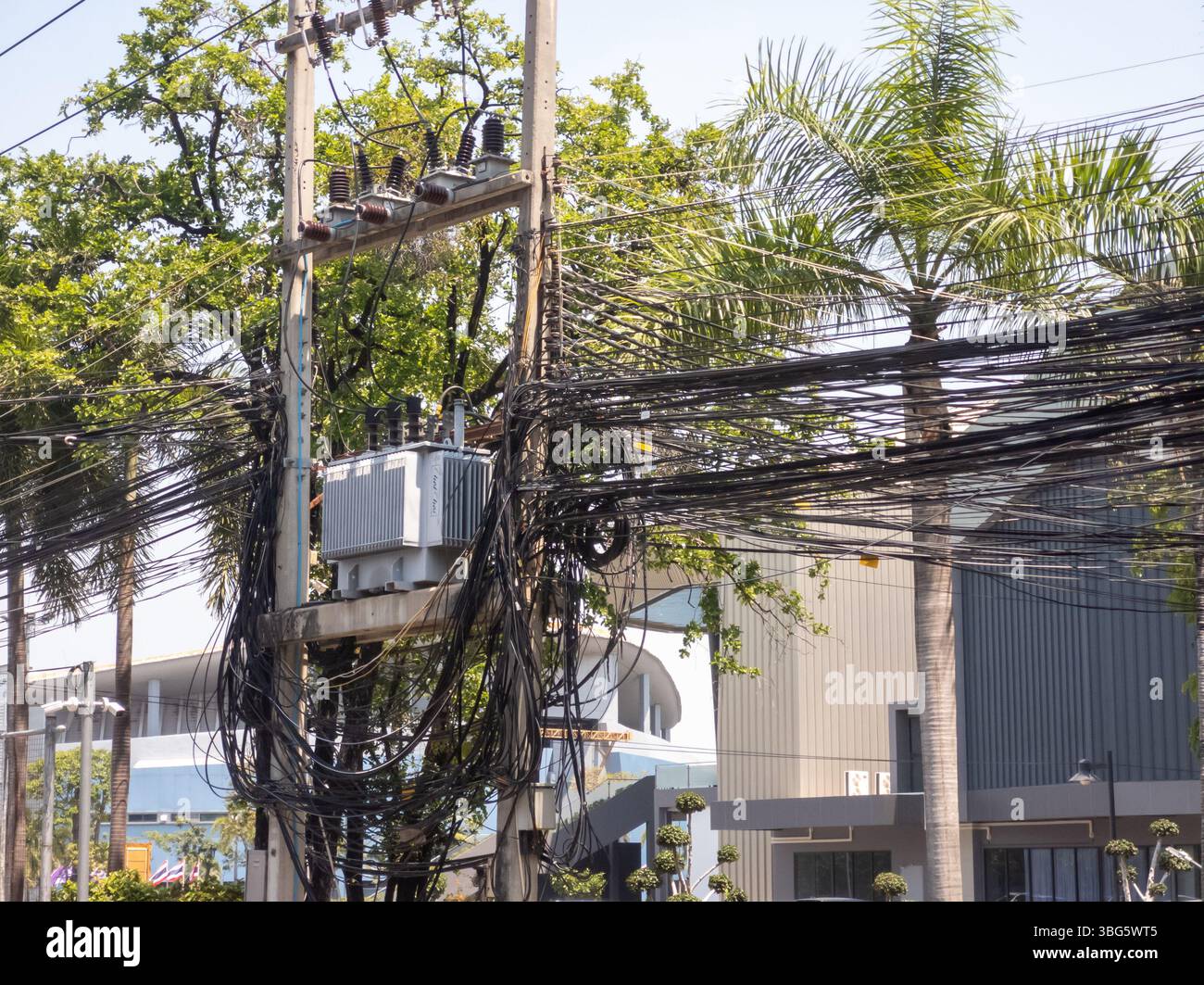 Eine lebhafte urbane Szene mit verworrenen Überlandleitungen, die mit üppigen Palmen verflochten sind. Dieses Bild zeigt die Mischung aus Technologie und Natur Stockfoto