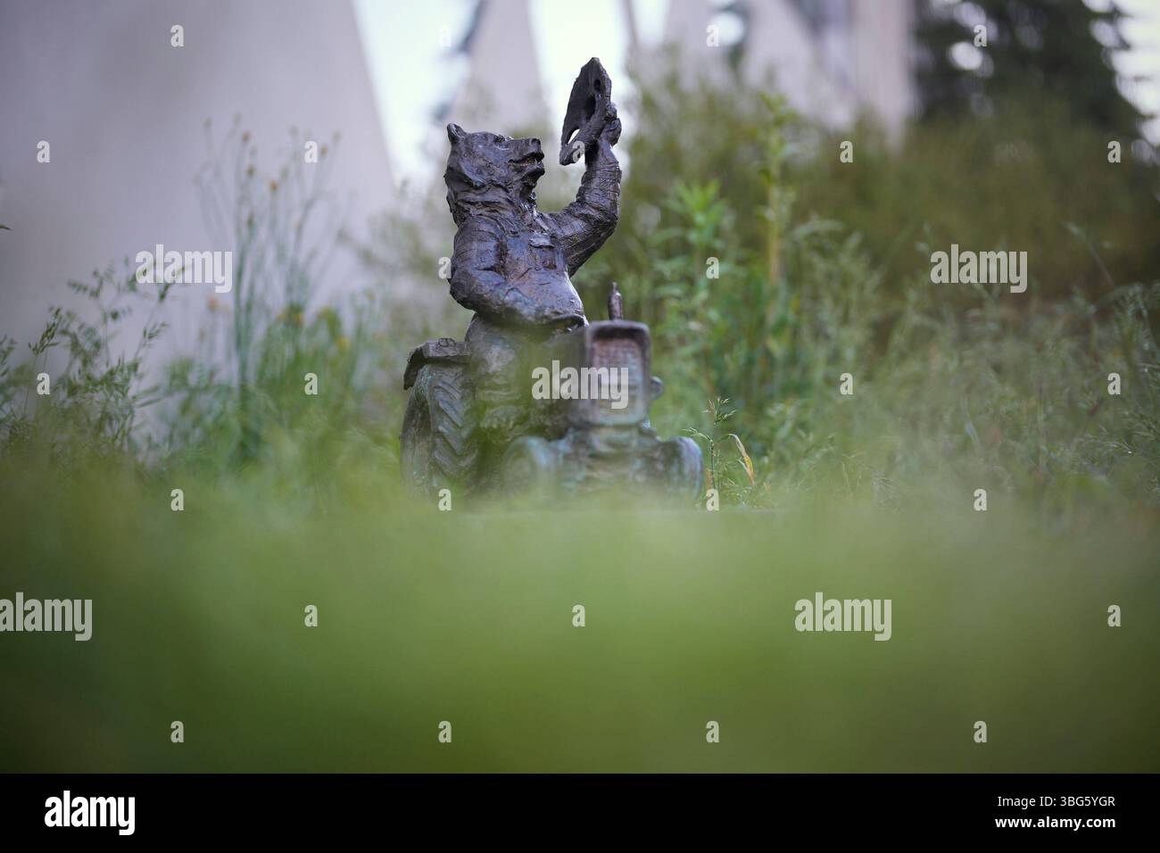 Warschau. Juni 2025. Dieses Foto, das am 3. Juni 2025 aufgenommen wurde, zeigt eine Skulptur eines Traktorbären in der Nähe des Bezirksbüros Ursus in Warschau, Polen. Ursus ist nach dem lateinischen Wort für „Bär“ benannt und zeigt auch einen Bären im Wappen. Der Bezirk hat mehrere thematische Bärenskulpturen installiert -- wie ein Bauer, Mechaniker und Fußballspieler -- jede passend zu seinem Standort. Quelle: Jaap Arriens/Xinhua/Alamy Live News Stockfoto