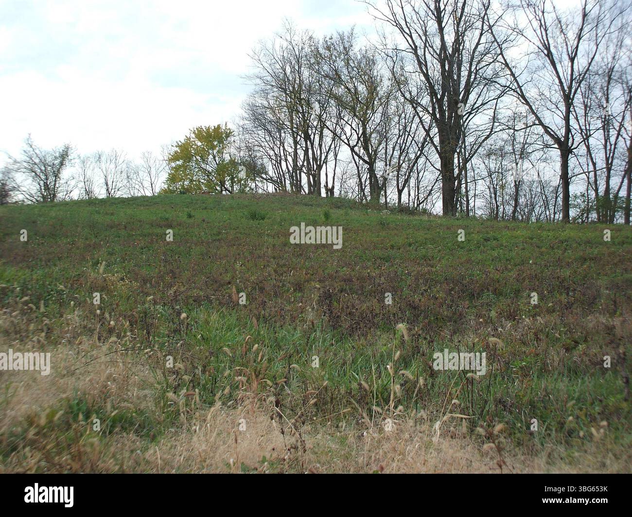 Der Prairie Oaks Mound FR78, der sich am Mound Trail im Prairie Oaks Metro Park befindet, ist ein indianischer Grabhügel. Es liegt zwischen Beach Road und Patterson Road, gleich neben der Amity Road, und bleibt eine wichtige archäologische Stätte. Stockfoto