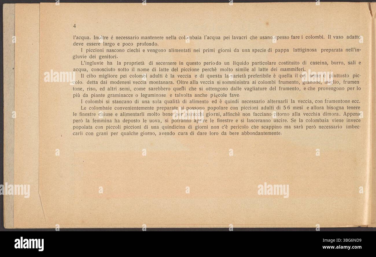 Das Buch „Il Colombo“ aus dem Jahr 1924 enthält detaillierte anatomische Diagramme einer Taube, die den äußeren Körper, das Skelett, das Gefäßsystem, die Muskeln und die inneren Organe zeigt. Das Buch enthält auch eine Illustration eines Taubeneis mit Stadien der Embryonalentwicklung. Stockfoto