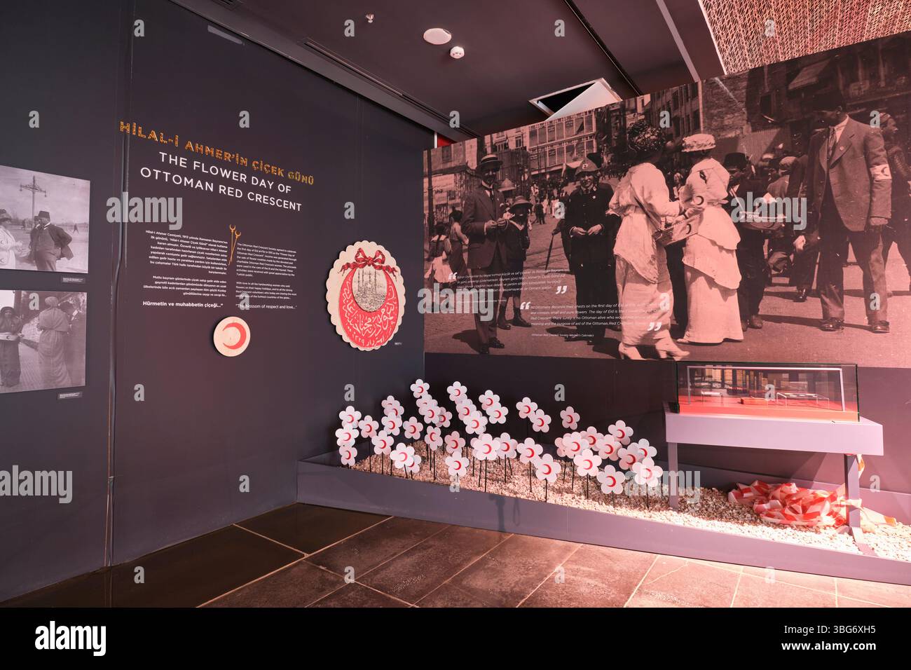 Nachbildung von Gedenkblumen. Im Roten Halbmond-Museum, der medizinischen Hilfsorganisation des Roten Kreuzes der Türkei während des Ersten Weltkriegs. In Der Nähe Von Eceabat, Türkei. Stockfoto