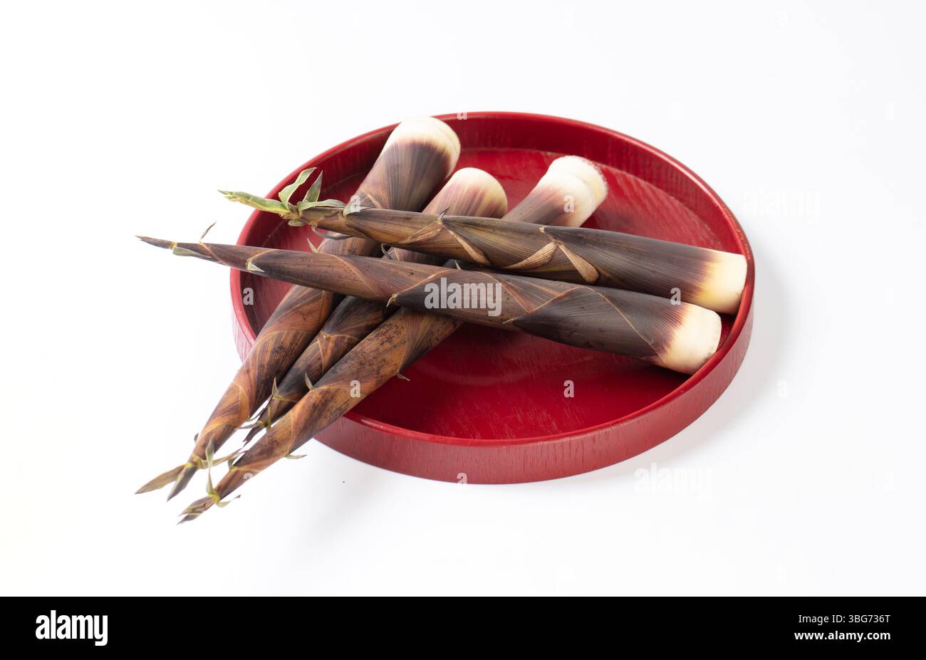 Nahaufnahme der frisch geernteten kleinen Bambus shoots​ Stockfoto