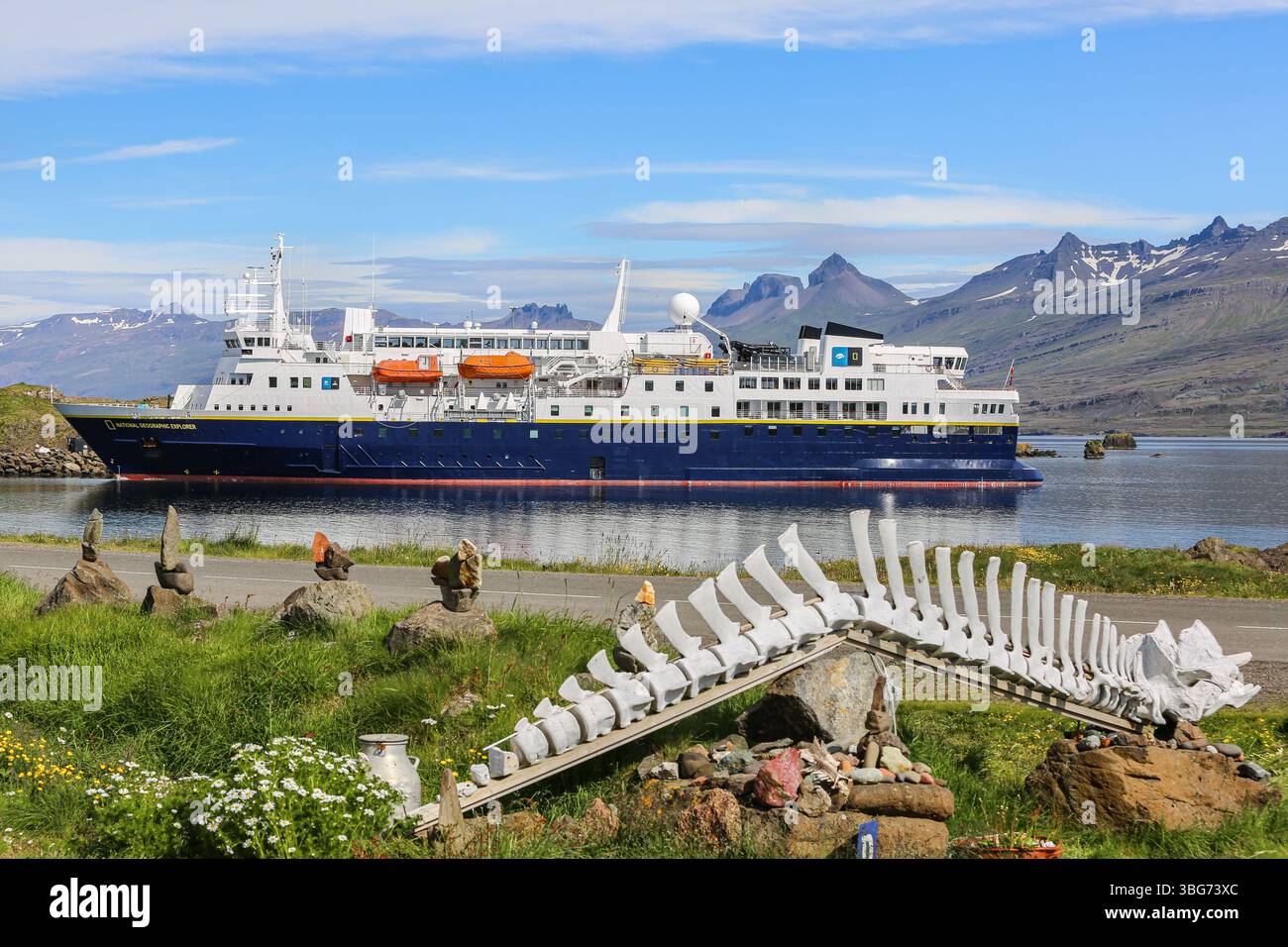 Expeditionskreuzfahrtschiff NATIONAL GEOGRAPHIC EXPLORER besucht das kleine Küstendorf Djúpivogur, Island, Walskelett, bergige Landschaft Stockfoto