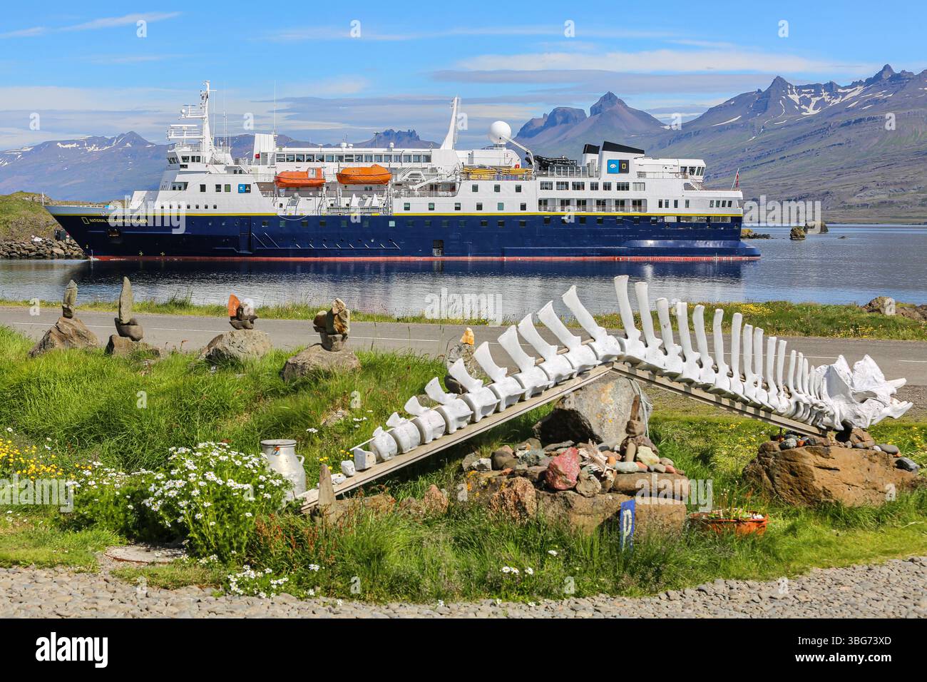 Expeditionskreuzfahrtschiff NATIONAL GEOGRAPHIC EXPLORER besucht das kleine Küstendorf Djúpivogur, Island, Walskelett, bergige Landschaft Stockfoto