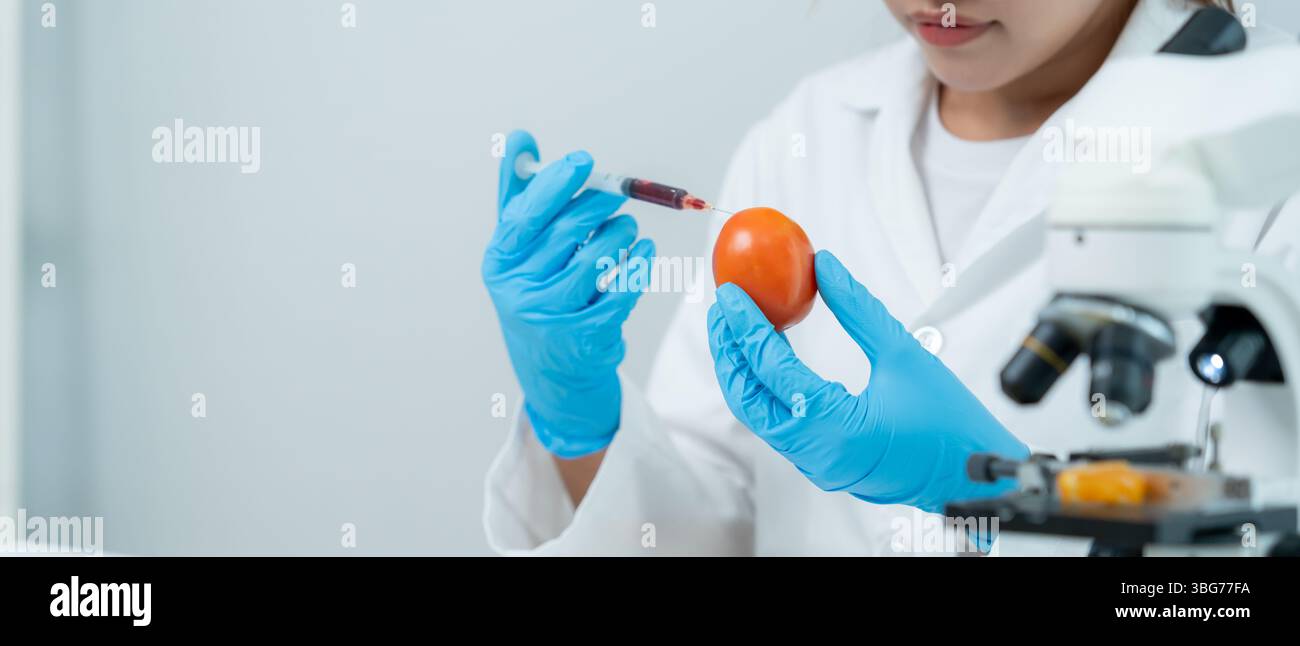 Wissenschaftler überprüfen chemische Lebensmittelrückstände im Labor. Kontrollexperten prüfen die Qualität von Früchten, Wissenschaftler injizieren Chemikalien in Äpfel für Experimente Stockfoto