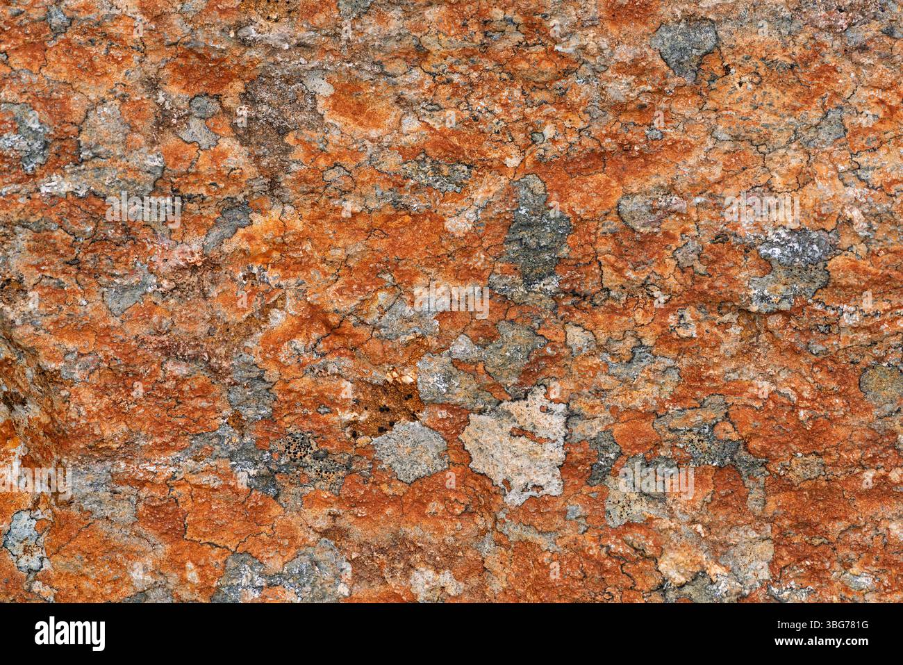 Die Felsoberfläche zeigt komplexe Muster in Orange- und Grautönen, die die Kunstfertigkeit der Natur in einer rauen Umgebung bei Tageslicht hervorheben. Stockfoto
