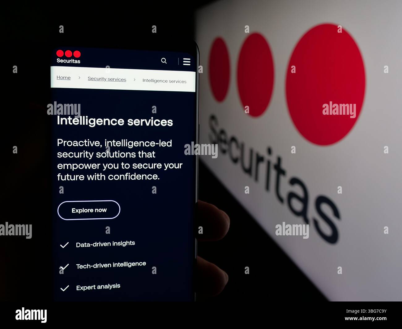Stuttgart, Deutschland - 29.01.2025: Person, die ein Mobiltelefon hält, mit Webseite des schwedischen Sicherheitsunternehmens Securitas ab auf dem Bildschirm mit Logo. Stockfoto