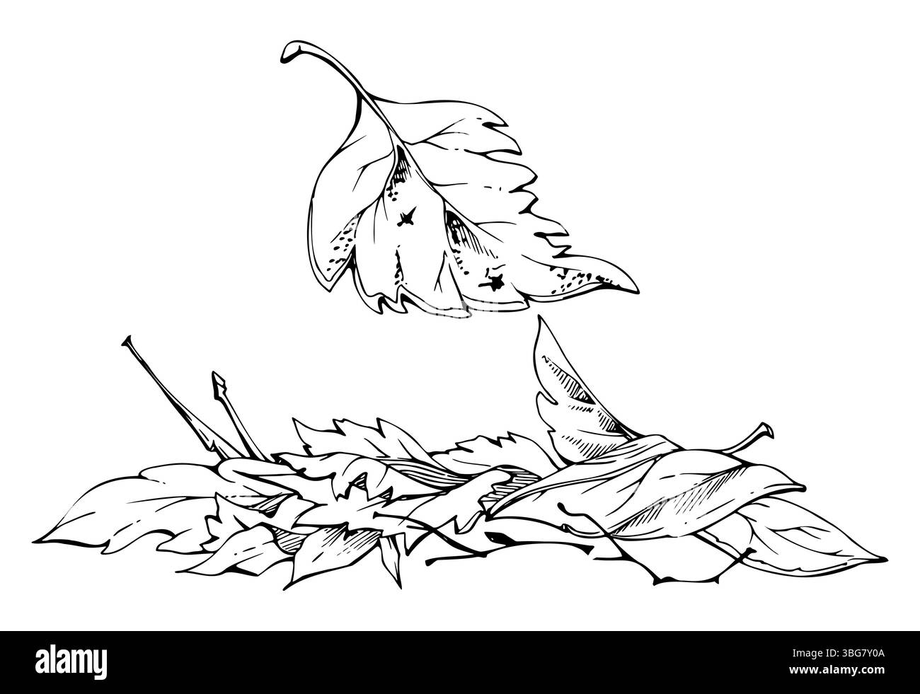 Herbstblätter häufen sich mit Zweigen, zerknitterter, getrockneter Waldboden. Botanische Darstellung eines einzelnen Elements, handgezeichnet in Vektortinte. Herbarium Stock Vektor