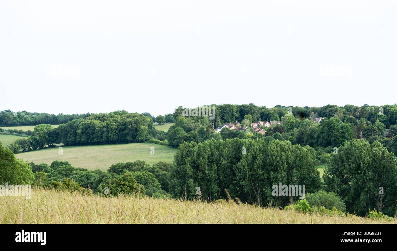 Friedliche britische Landschaft mit Rolling Fields Stockfoto