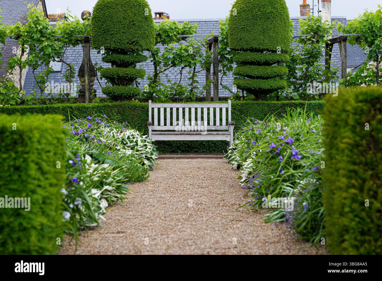 Ein ruhiger Gartenweg mit einer weißen Holzbank, umgeben von üppigem Grün und blühenden Pflanzen, eingerahmt von ordentlich geschnittenen Hecken und Formteilen, schafft Stockfoto