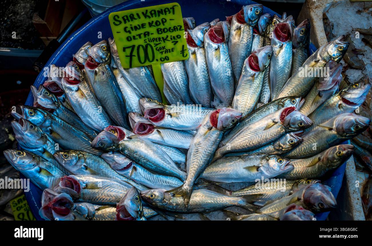 Frischer Fisch auf einem Straßenmarkt in Kadakoy, Istanbul, Türkei Stockfoto