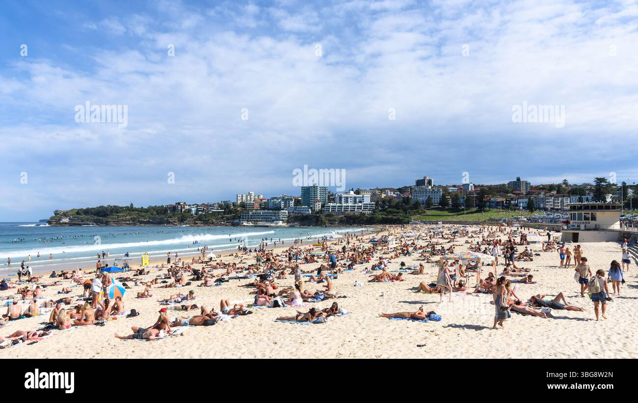 Sonnenanbeter am Bondi Beach in Sydney an einem warmen, sonnigen Tag Stockfoto