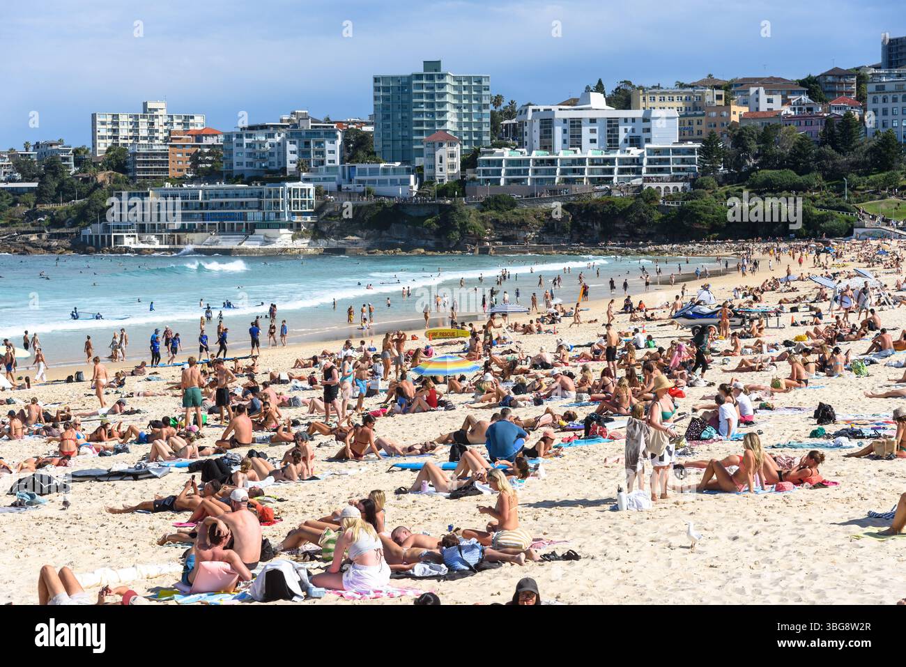 Sonnenanbeter am Bondi Beach in Sydney an einem warmen, sonnigen Tag Stockfoto