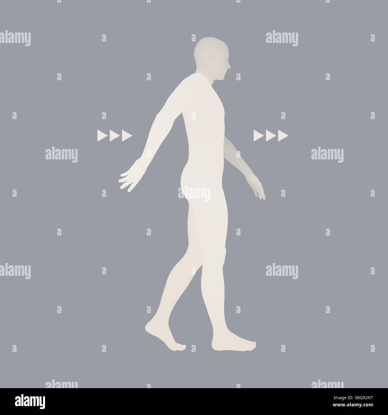Walking Man. 3D-Modell des menschlichen Körpers. Design Element. Vector Illustration. Stock Vektor