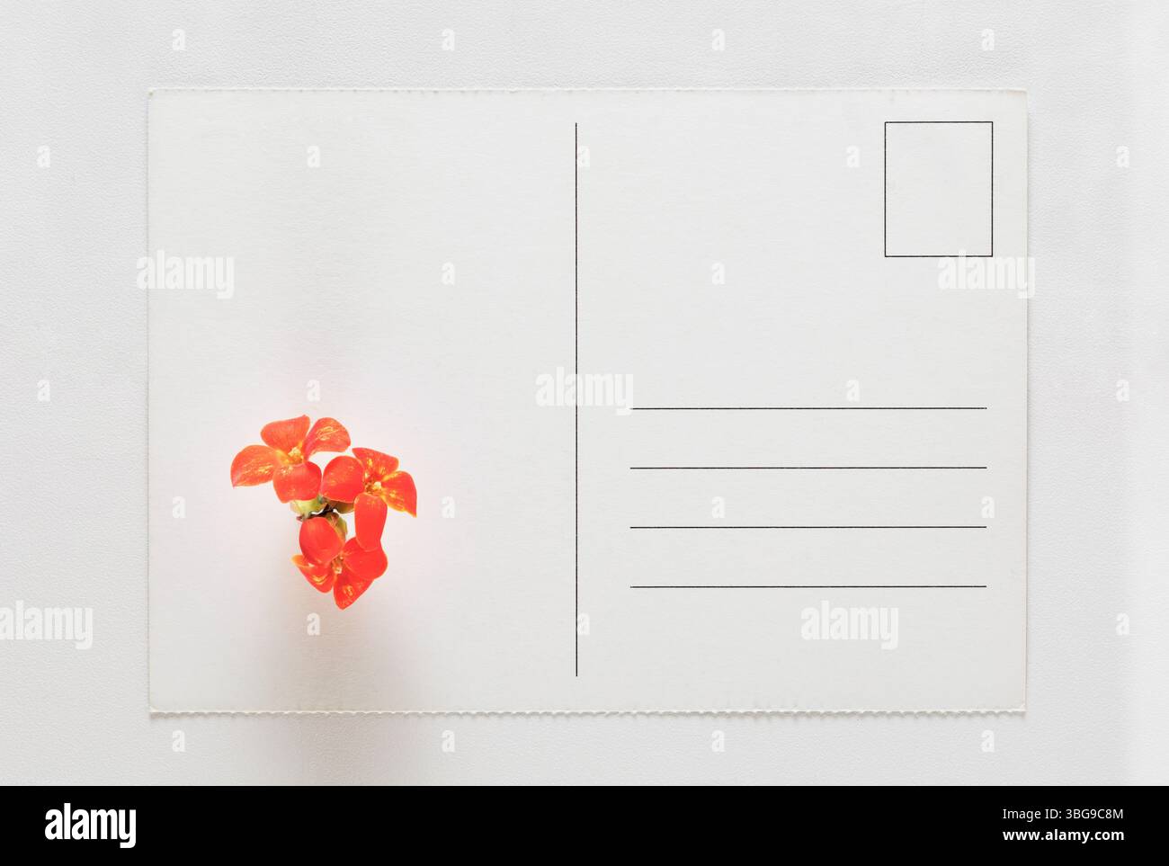 Leere Postkarte mit orangener Blume auf weißem Tisch, Liebesgefühle in Paarbeziehung, süße Versprechen Stockfoto