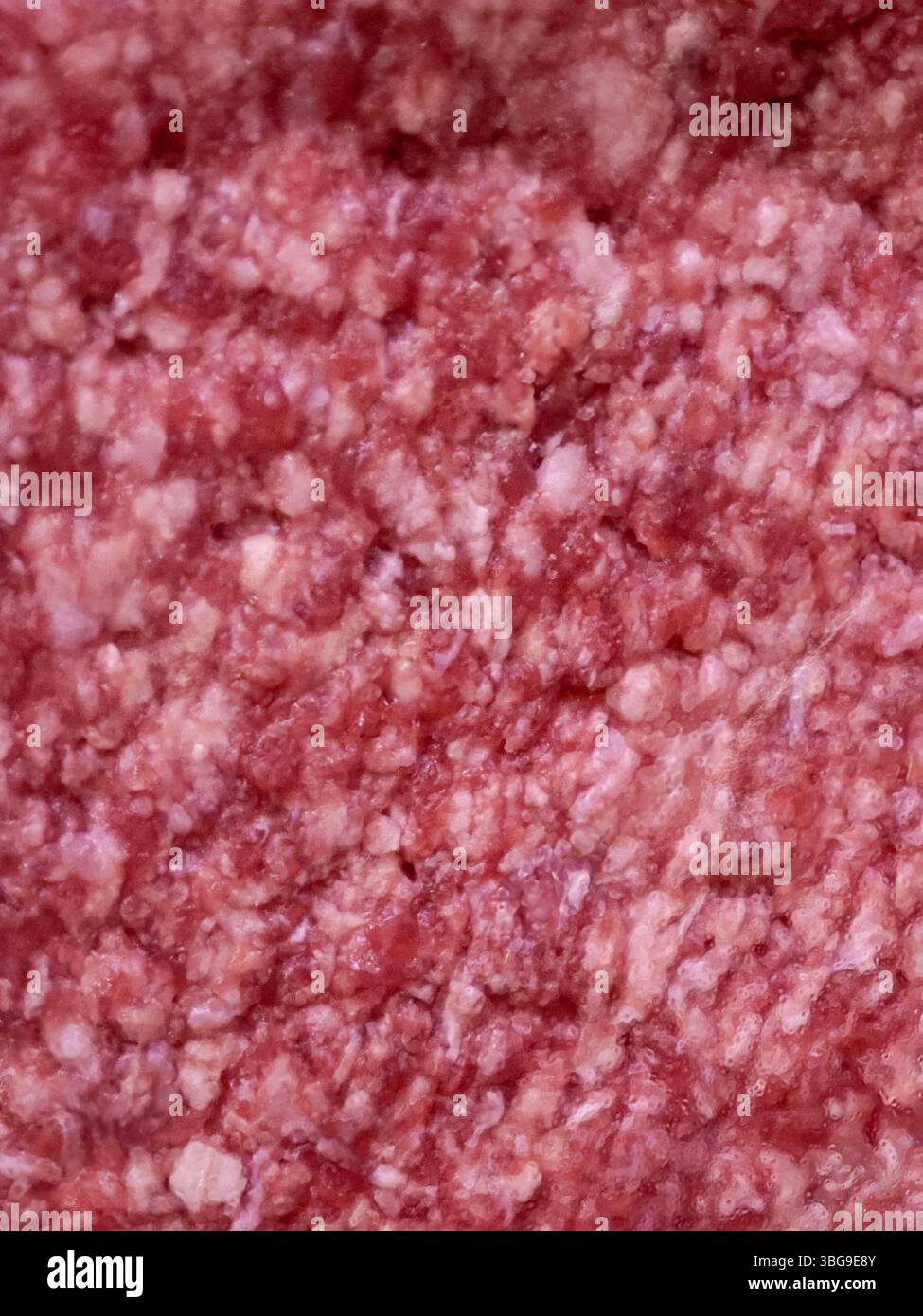 Die Nahaufnahme von rohem Hackfleisch zeigt seine rosa-rote Textur und feine Körnchen. Das Bild erfasst das frische Erscheinungsbild und hebt seine Qualität und Vorbereitung hervor Stockfoto