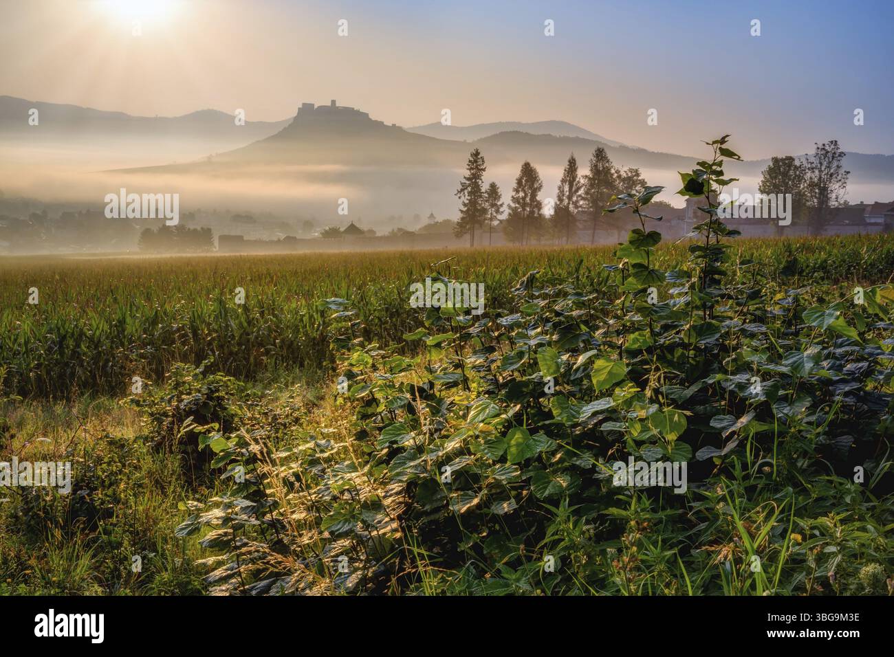 Wunderschöne slowakische unberührte Natur, ein wunderbares Ziel für Urlaub und Entspannung Stockfoto