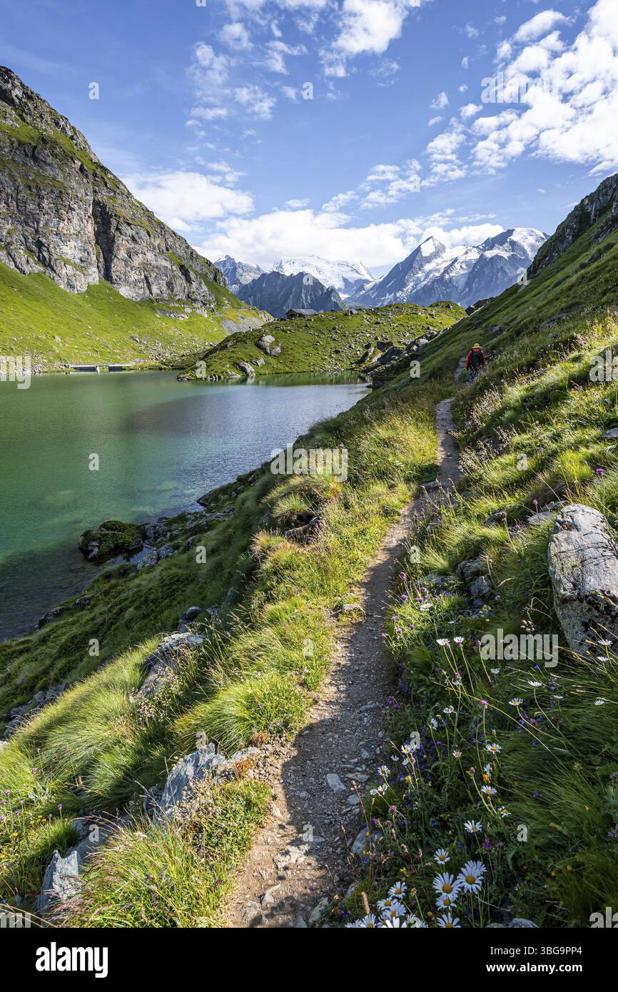 Bergsteiger auf einem Wanderweg an einem Bergsee mit Blick auf die Gletschergipfel, Lac du Louvie mit Gipfel Grand Combine, Walliser Alpen, Val de Stockfoto