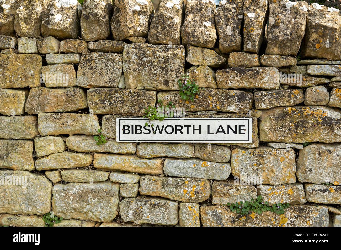 Steinmauer, Straßenschild, Bibsworth Lane, Broadway, Worcestershire, Die Cotswolds, England, Großbritannien Stockfoto