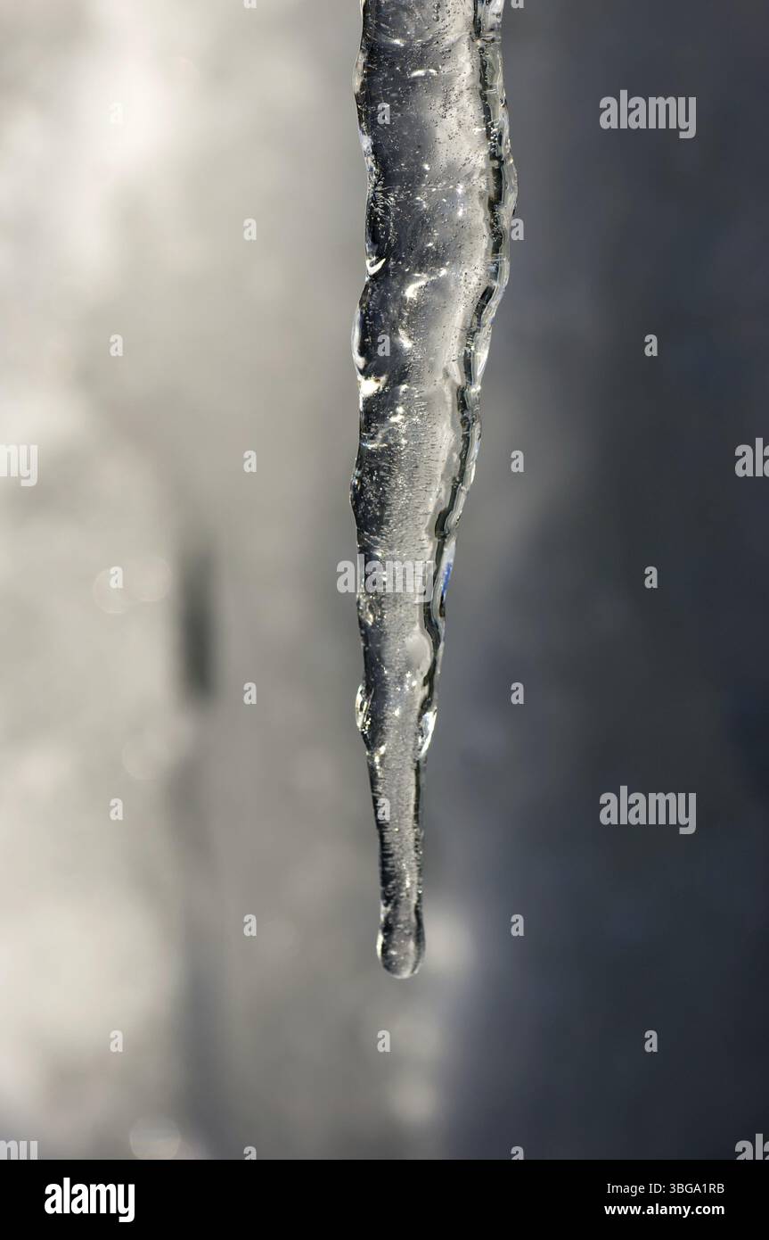 Tropfende Eiszapfen Stockfoto