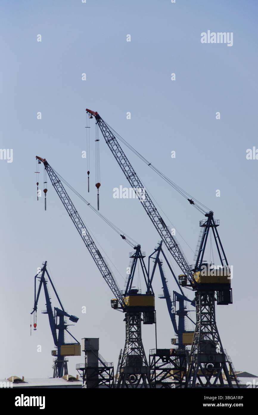 Krane im Hafen von Hamburg, Deutschland, Europa Stockfoto