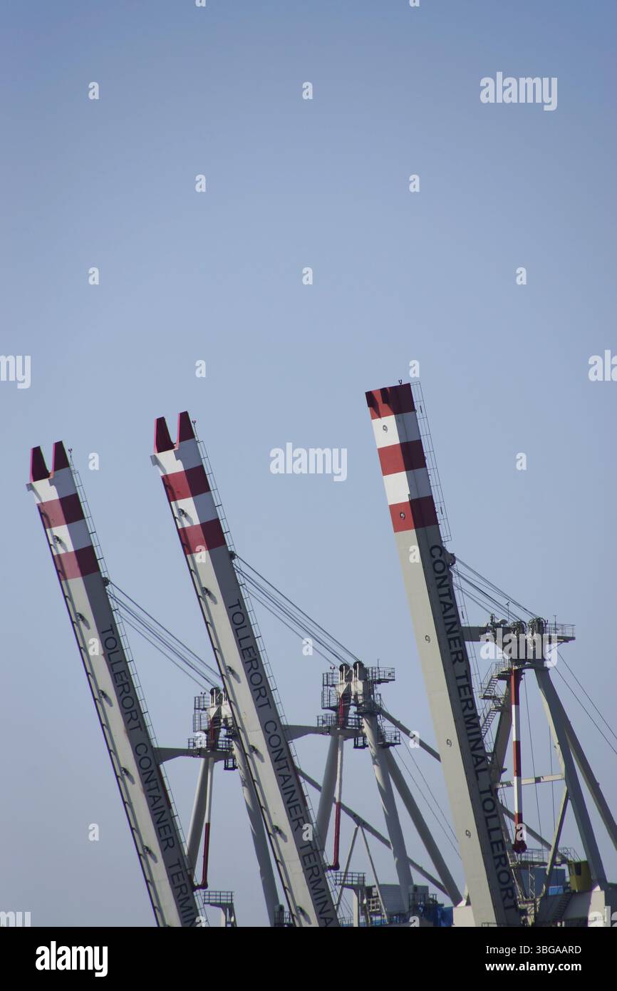 Krane im Hafen von Hamburg, Deutschland, Europa Stockfoto
