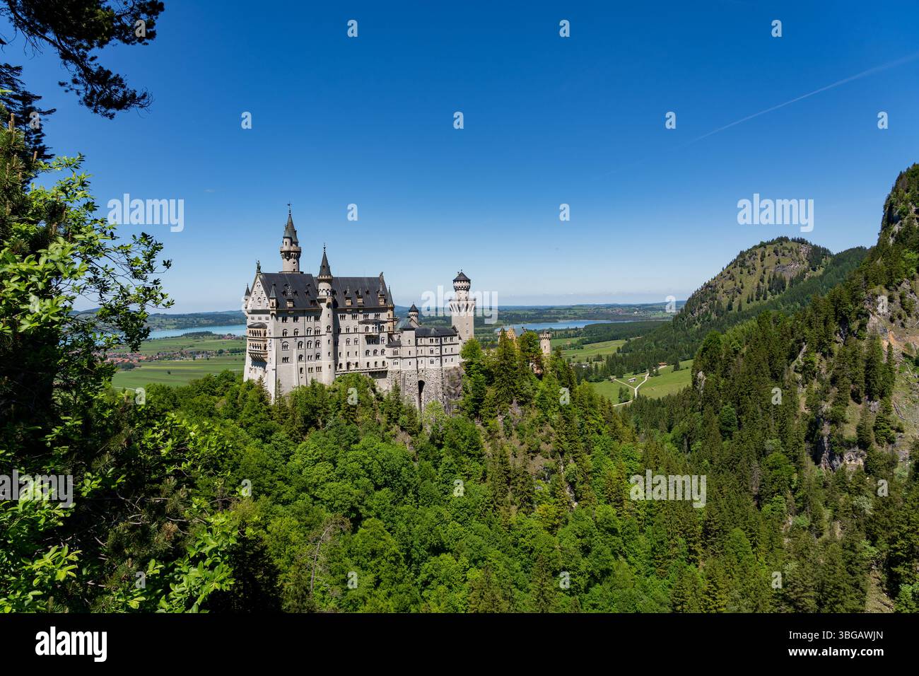Schloss Neuschwanstein im Frühling – Bayern, Deutschland Stockfoto