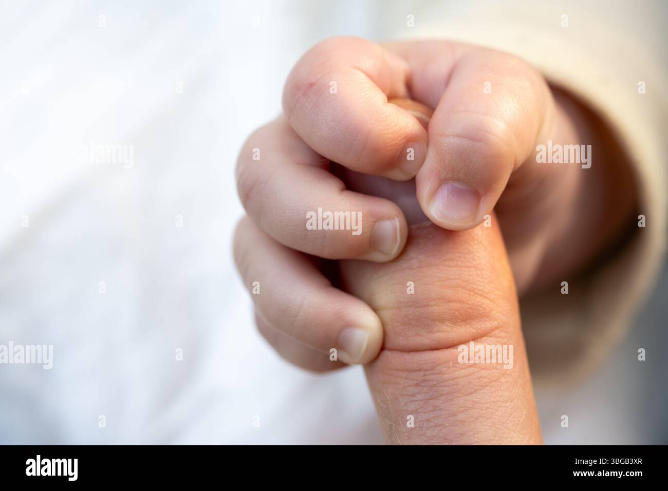 Beschreibung: Makrobild einer Hand eines Säuglings, die den Bauch des Elternteils greift. Weißer Hintergrund. Stockfoto Beschreibung: Makrobild einer Hand eines Säuglings, die den Bauch des Elternteils greift. Weißer Hintergrund. Stockfoto