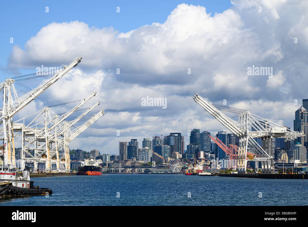 Seattle - 18. Mai 2025; Blick auf den Duwamish Waterway am Hafen von Seattle mit Kranen Stockfoto