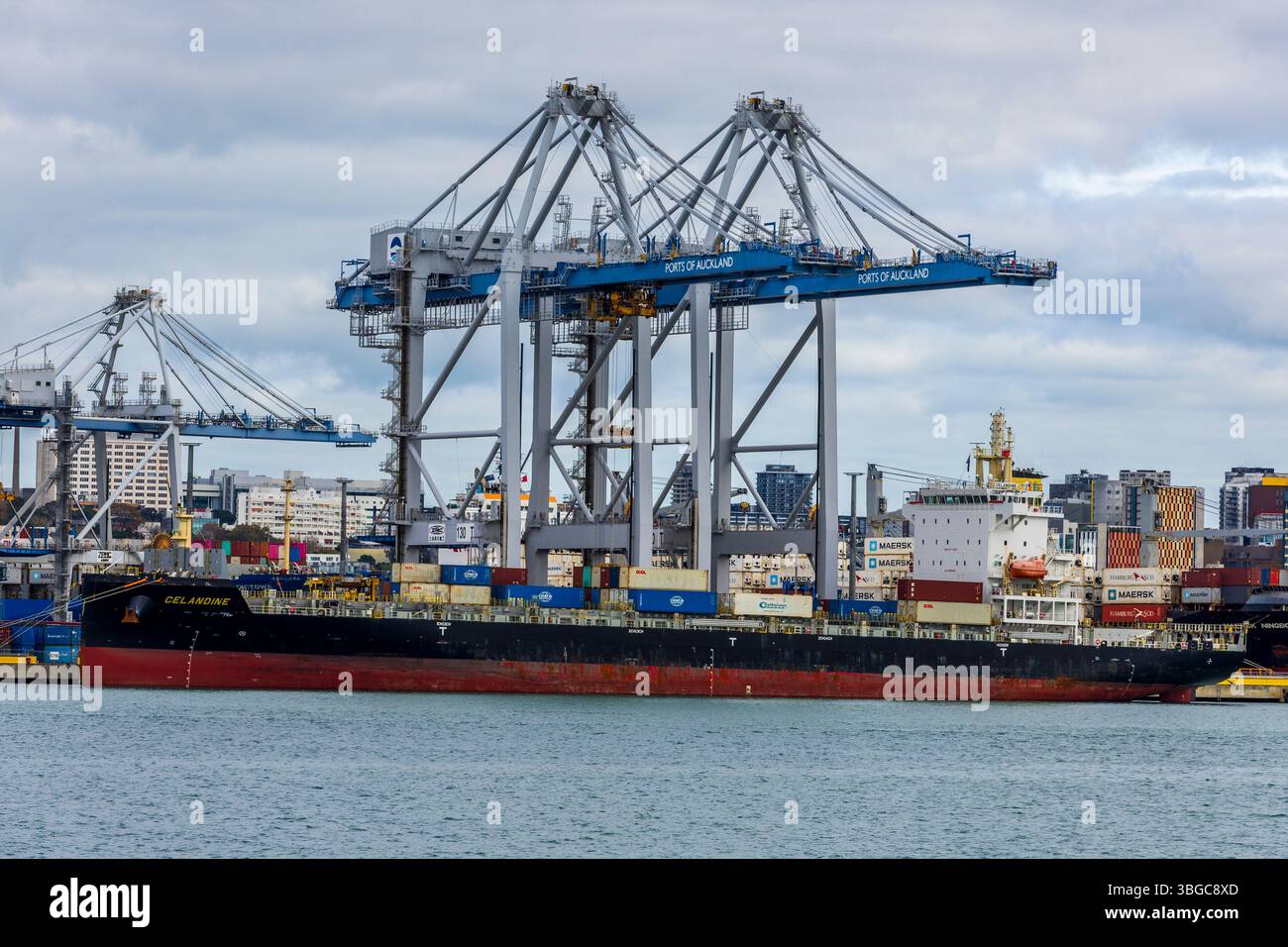 Auckland, Neuseeland, 03. Juni 2025. Das Frachtschiff Celandine am Containeranlegeplatz an den Häfen von Auckland. Stockfoto