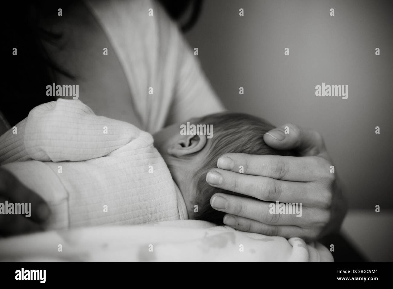Die Mutter stillt ihr Neugeborenes sanft und veranschaulicht einen ruhigen Moment der Pflege und Zärtlichkeit. Der Schwerpunkt liegt auf der Pflege der Bindung und der wohltuenden Umgebung Stockfoto