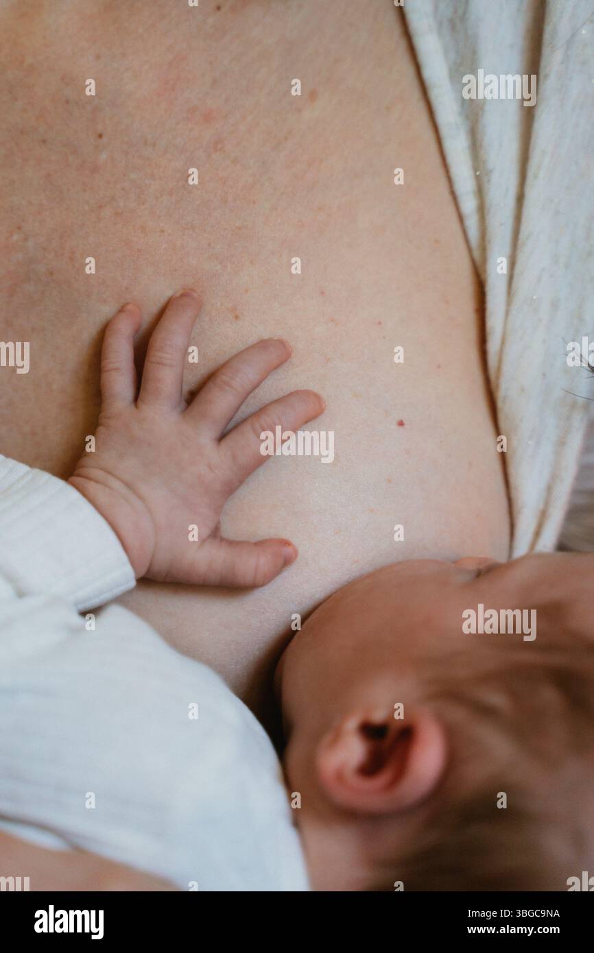 Die Mutter stillt ihr Neugeborenes sanft und veranschaulicht einen ruhigen Moment der Pflege und Zärtlichkeit. Der Schwerpunkt liegt auf der Pflege der Bindung und der wohltuenden Umgebung Stockfoto
