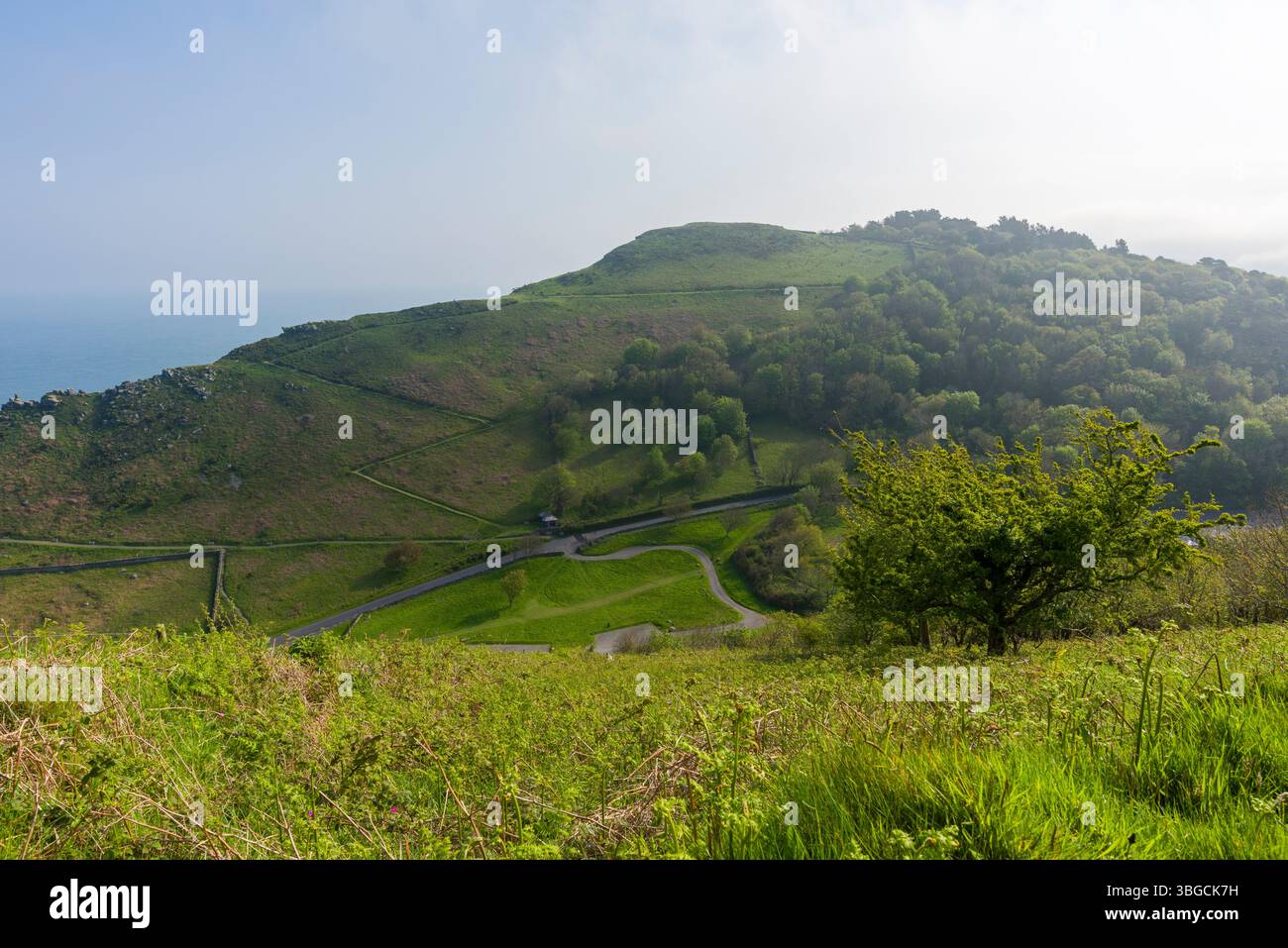 Hollerday Hill oberhalb des Valley of the Rocks bei Lynton im Exmoor National Park, Devon, England. Stockfoto