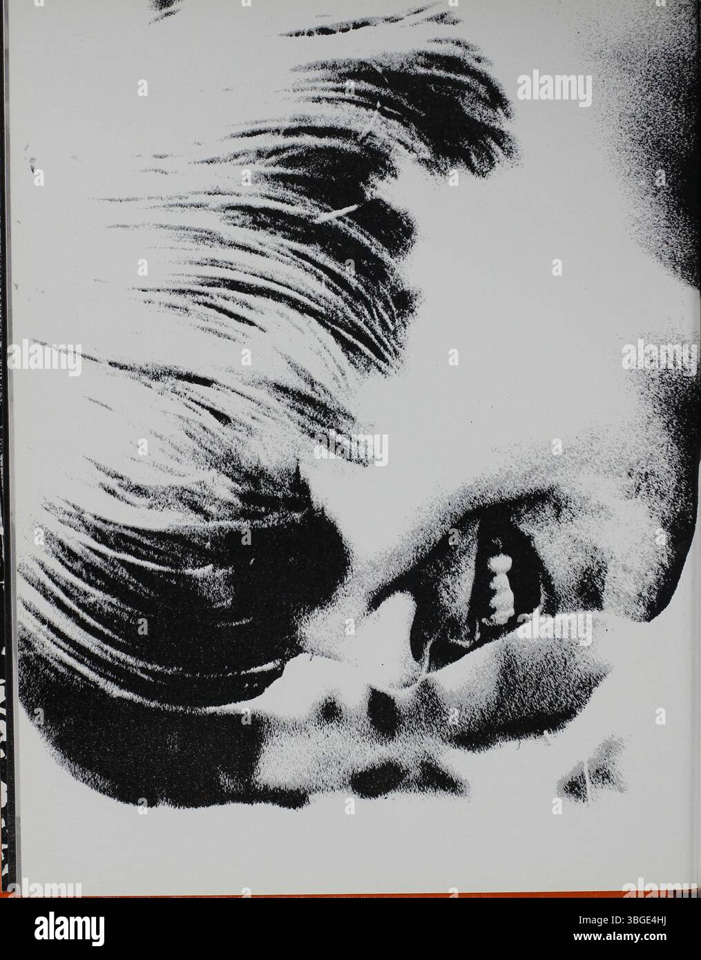 Das Jahrbuch beschreibt die Geschichte der North High School, die 1893 gegründet wurde. Das ursprüngliche Gebäude im romanischen Stil, entworfen von Frank L. Packard, wurde 1924 durch ein neues Gebäude an der Arcadia Avenue ersetzt. Die Schule wurde 1979 geschlossen und 2012 als Columbus International High School wieder eröffnet. Stockfoto